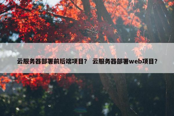 云服务器部署前后端项目？ 云服务器部署web项目？