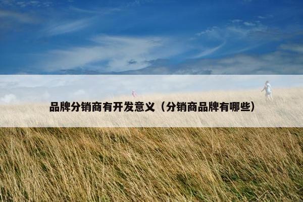 品牌分销商有开发意义（分销商品牌有哪些）