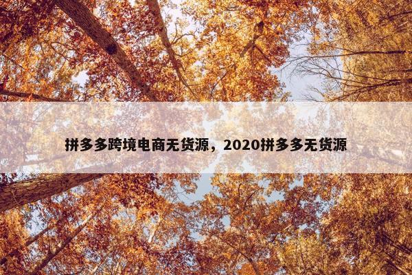 拼多多跨境电商无货源，2020拼多多无货源
