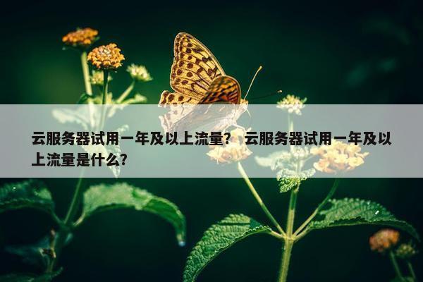 云服务器试用一年及以上流量？ 云服务器试用一年及以上流量是什么？