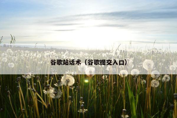 谷歌站话术（谷歌提交入口）