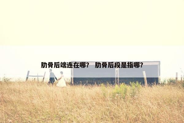 肋骨后端连在哪？ 肋骨后段是指哪？