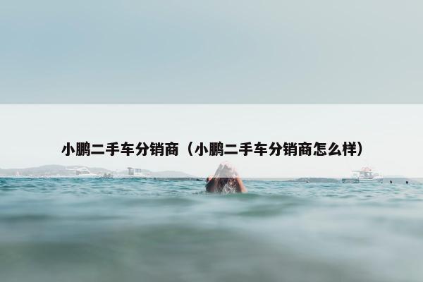 小鹏二手车分销商（小鹏二手车分销商怎么样）