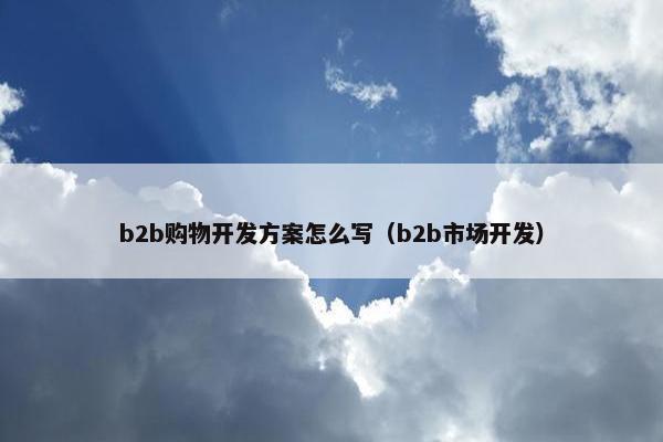 b2b购物开发方案怎么写（b2b市场开发）