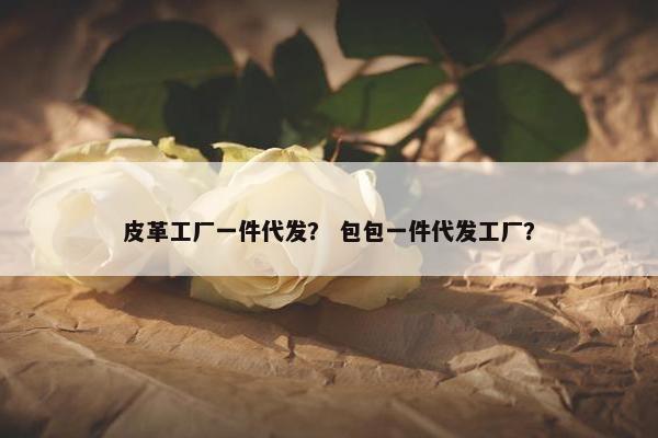 皮革工厂一件代发？ 包包一件代发工厂？