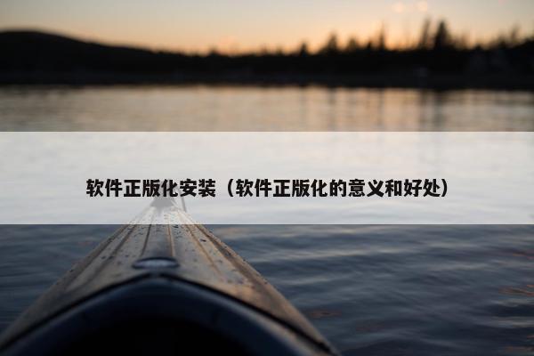 软件正版化安装（软件正版化的意义和好处）