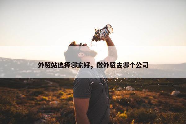 外贸站选择哪家好，做外贸去哪个公司