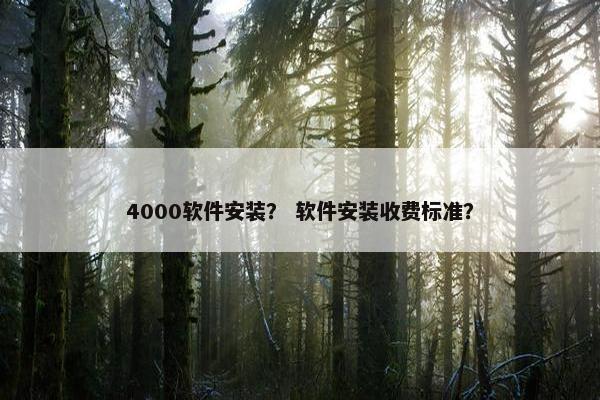 4000软件安装？ 软件安装收费标准？