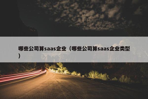 哪些公司算saas企业（哪些公司算saas企业类型）