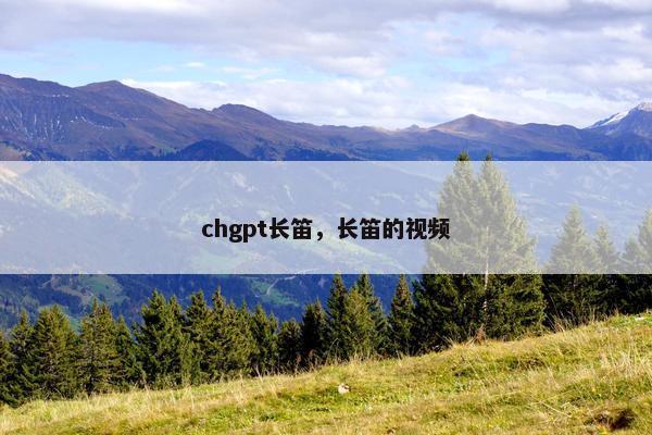 chgpt长笛，长笛的视频