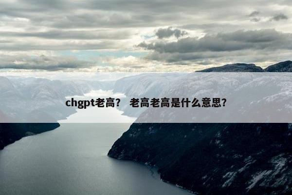 chgpt老高？ 老高老高是什么意思？