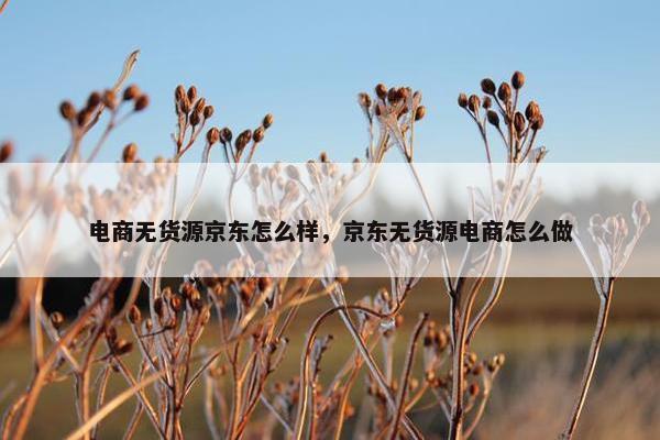 电商无货源京东怎么样，京东无货源电商怎么做