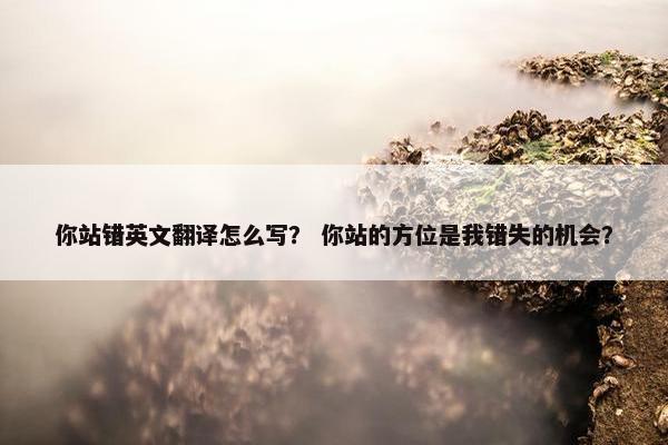 你站错英文翻译怎么写？ 你站的方位是我错失的机会？