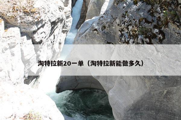 淘特拉新20一单（淘特拉新能做多久）