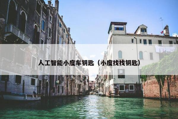 人工智能小度车钥匙（小度找找钥匙）