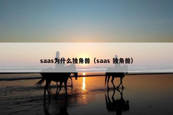 saas为什么独角兽（saas 独角兽）