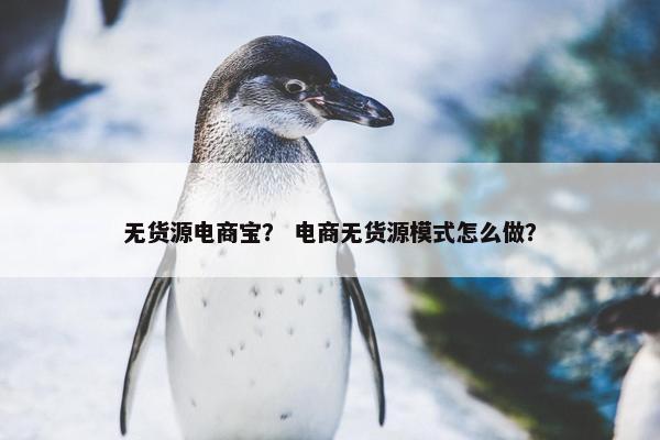 无货源电商宝？ 电商无货源模式怎么做？