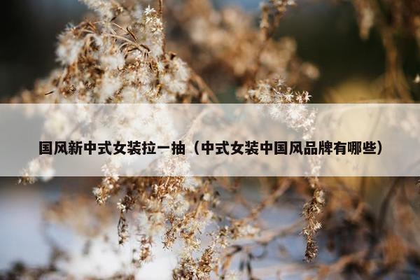 国风新中式女装拉一抽（中式女装中国风品牌有哪些）