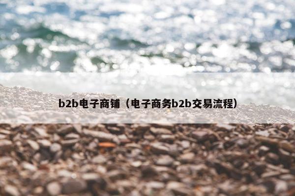 b2b电子商铺（电子商务b2b交易流程）