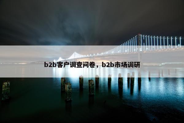 b2b客户调查问卷，b2b市场调研