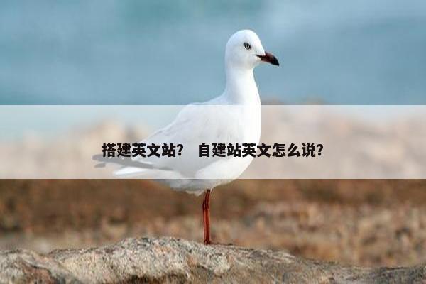 搭建英文站？ 自建站英文怎么说？