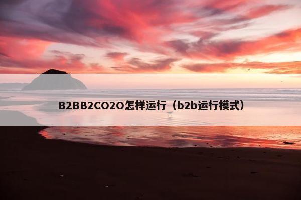 B2BB2CO2O怎样运行（b2b运行模式）