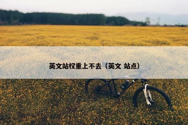 英文站权重上不去（英文 站点）