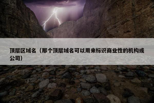 顶层区域名（那个顶层域名可以用来标识商业性的机构或公司）