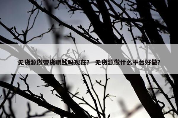 无货源做带货赚钱吗现在？ 无货源做什么平台好做？