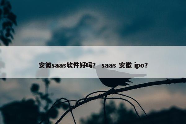 安徽saas软件好吗？ saas 安徽 ipo？