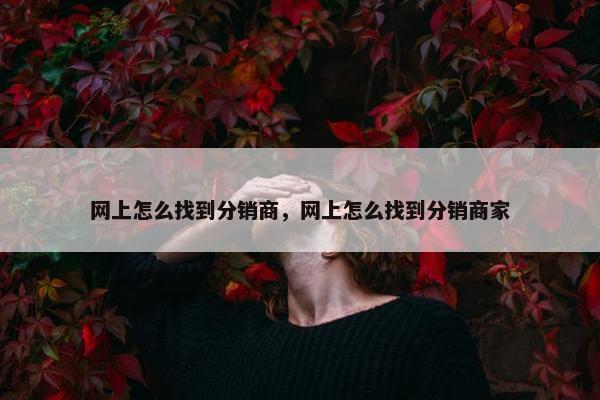 网上怎么找到分销商，网上怎么找到分销商家