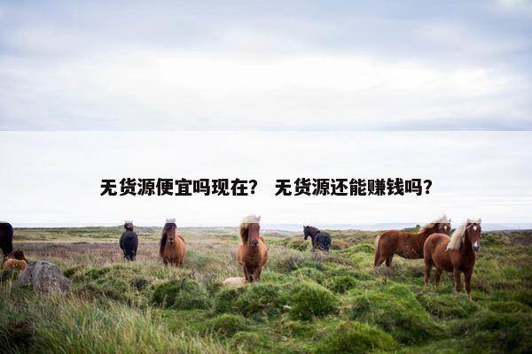 无货源便宜吗现在？ 无货源还能赚钱吗？