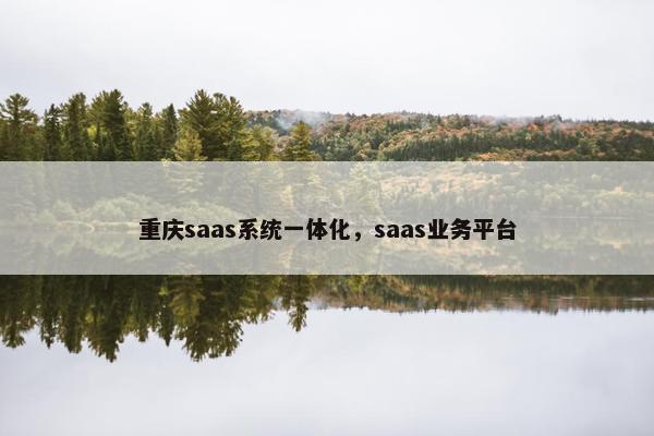 重庆saas系统一体化，saas业务平台