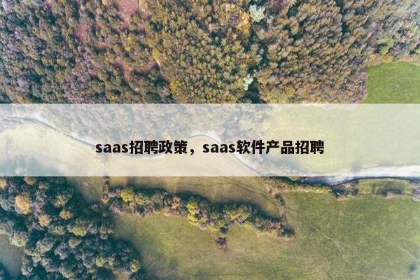 saas招聘政策，saas软件产品招聘