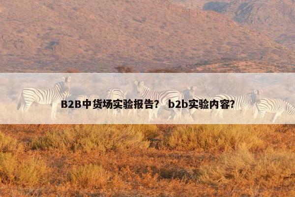 B2B中货场实验报告？ b2b实验内容？