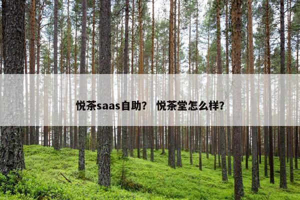 悦茶saas自助？ 悦茶堂怎么样？