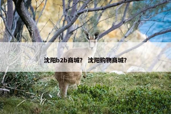 沈阳b2b商城? 沈阳购物商城?