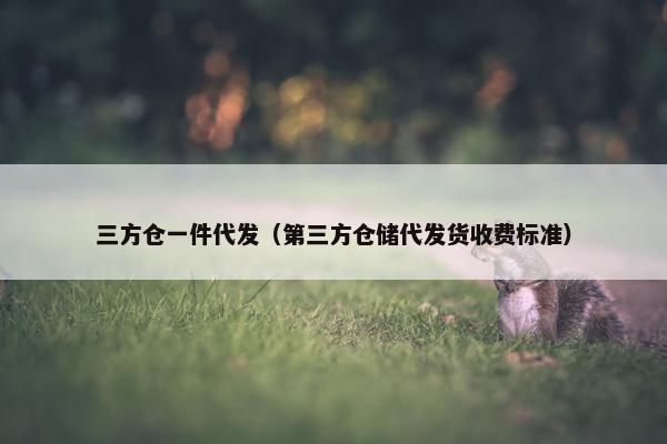 三方仓一件代发（第三方仓储代发货收费标准）
