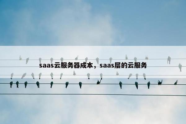 saas云服务器成本，saas层的云服务
