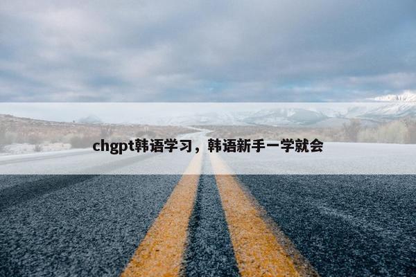chgpt韩语学习，韩语新手一学就会