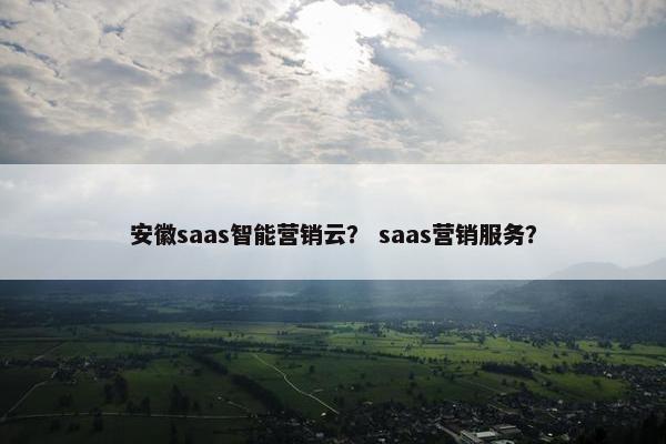 安徽saas智能营销云？ saas营销服务？