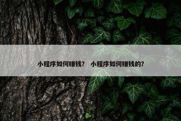小程序如何赚钱？ 小程序如何赚钱的？