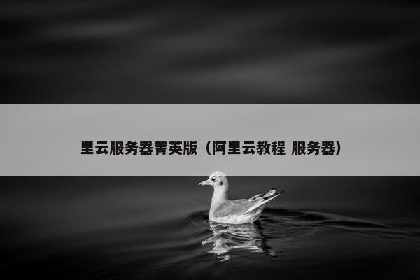 里云服务器菁英版（阿里云教程 服务器）