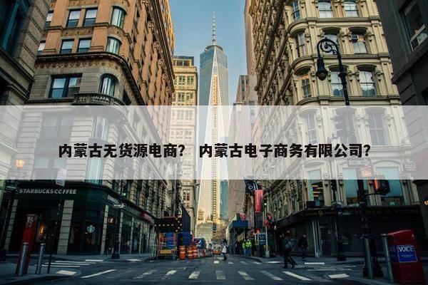 内蒙古无货源电商？ 内蒙古电子商务有限公司？