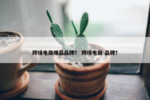 跨境电商爆品品牌？ 跨境电商 品牌？