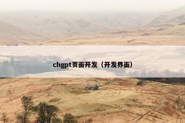 chgpt页面开发（开发界面）