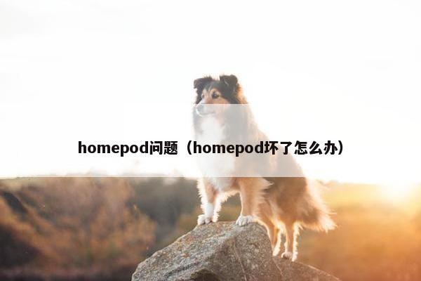 homepod问题（homepod坏了怎么办）
