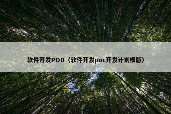 软件开发POD（软件开发poc开发计划模版）