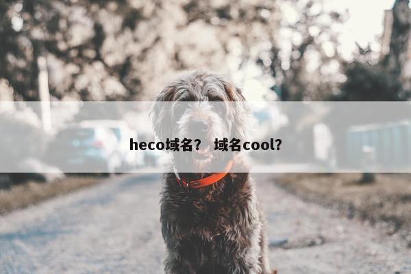 heco域名？ 域名cool？