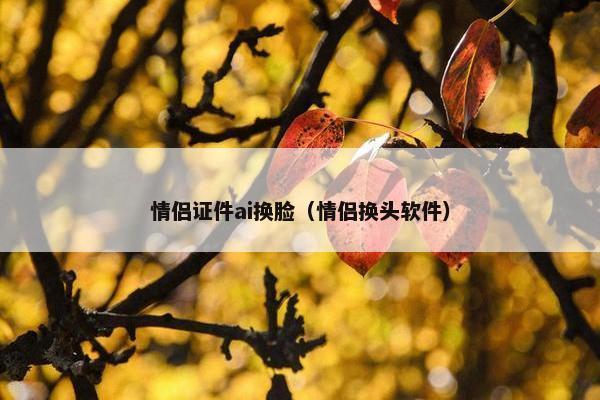 情侣证件ai换脸（情侣换头软件）